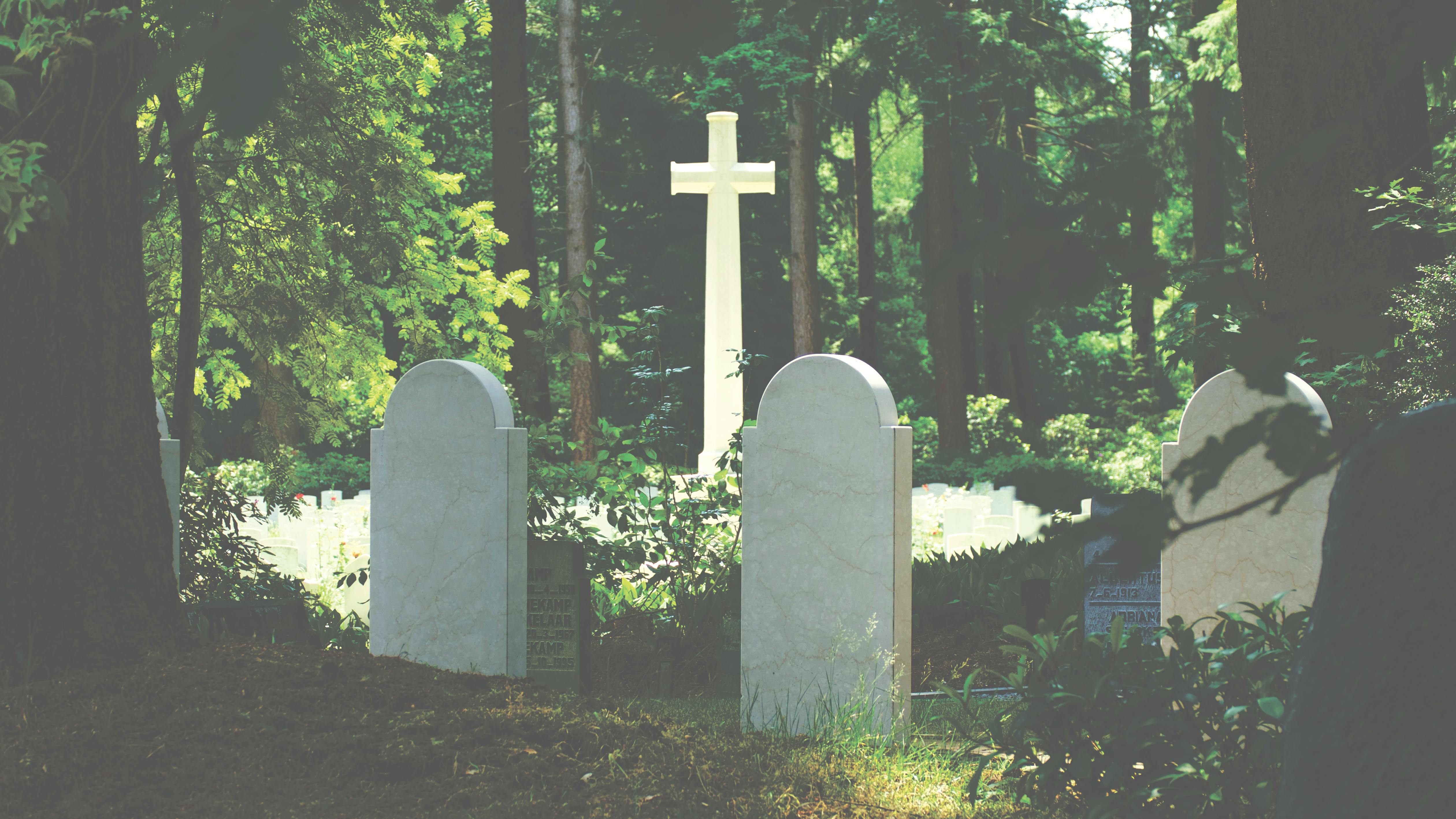 Talking to Your Child About Death